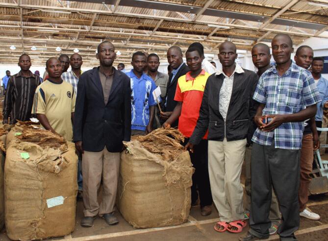 JTI Releases Collateral to Support Malawi Growers.jpg