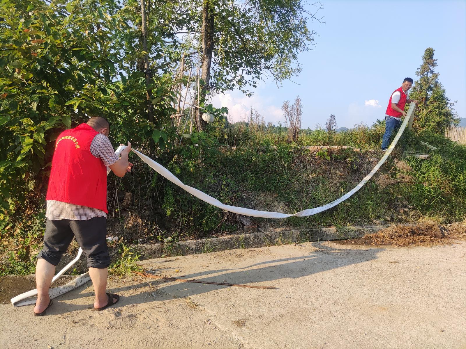 图为志愿者在稻田旁铺设水管.jpg