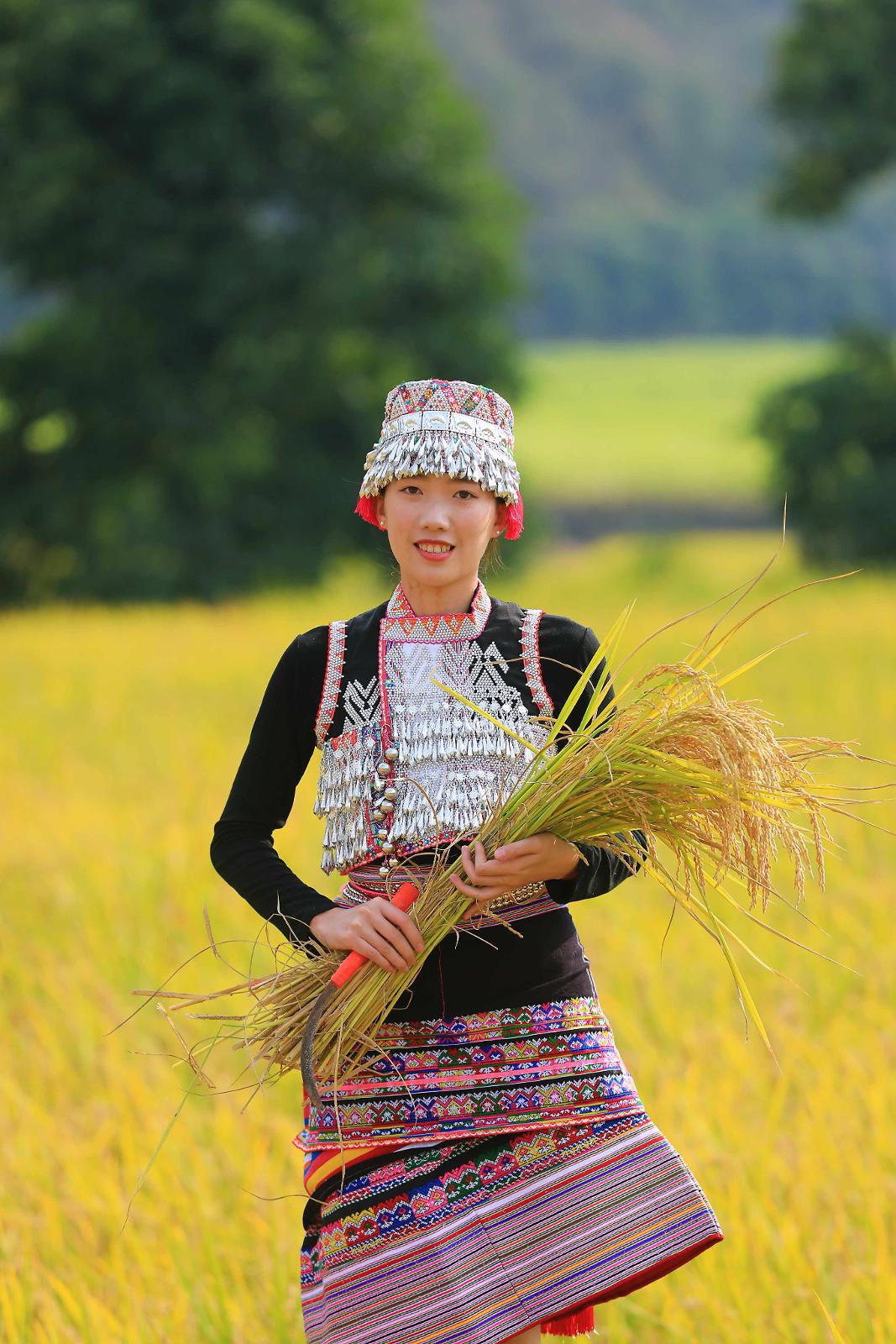 17傣族村民展示收割的稻谷.jpg